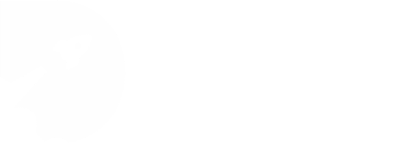 🚀 Digital Launch Nederland - Websites En Marketingbureau Amsterdam